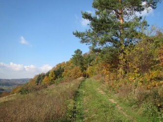 3-Grundstückskauf